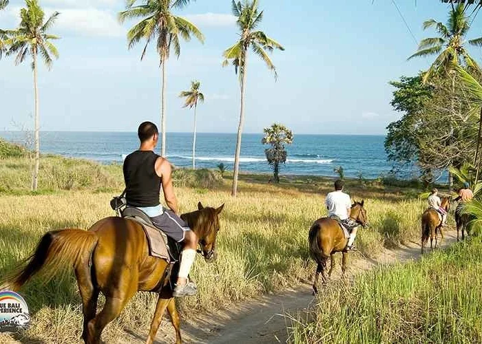 Horse Riding in Bali by www.enbali.com